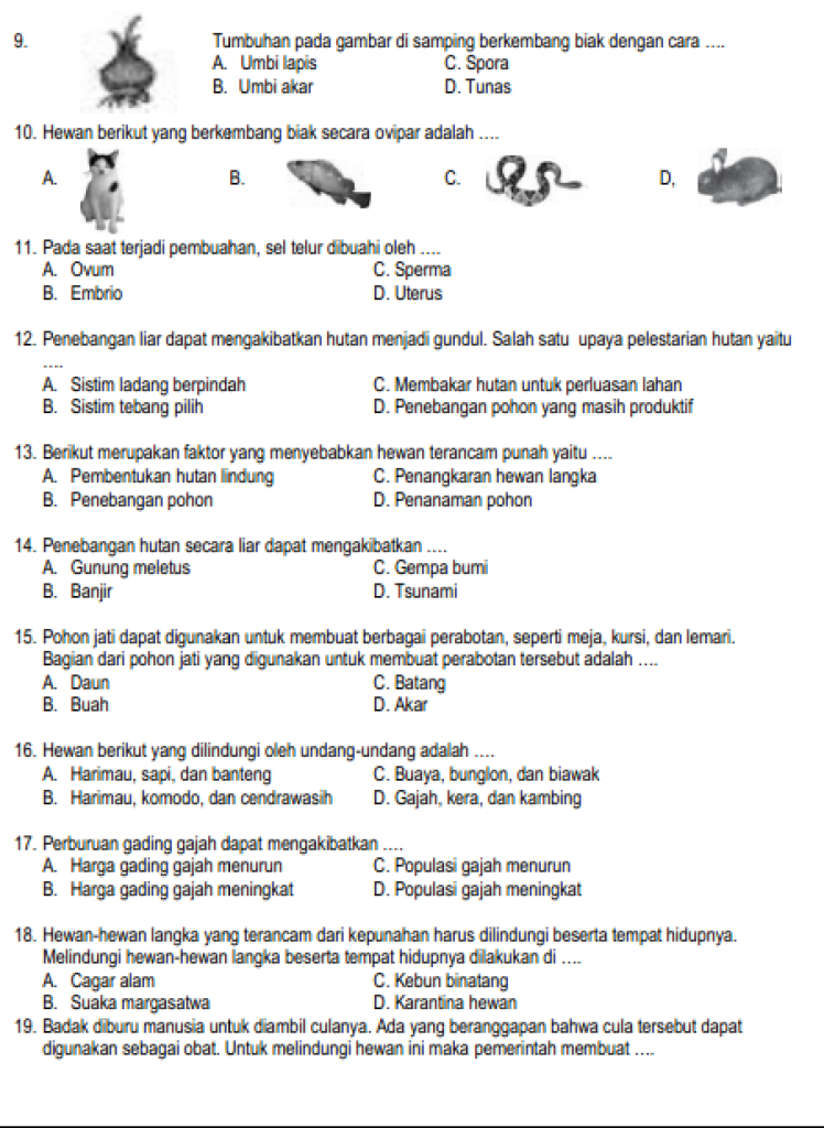 5 Fakta Mengejutkan Soal IPA Tema 1 Kelas 6 yang Wajib Tahu Sebelum Ujian Semester 5 Fakta Mengejutkan Soal IPA Tema 1 Kelas 6 yang Wajib Tahu Sebelum Ujian Semester