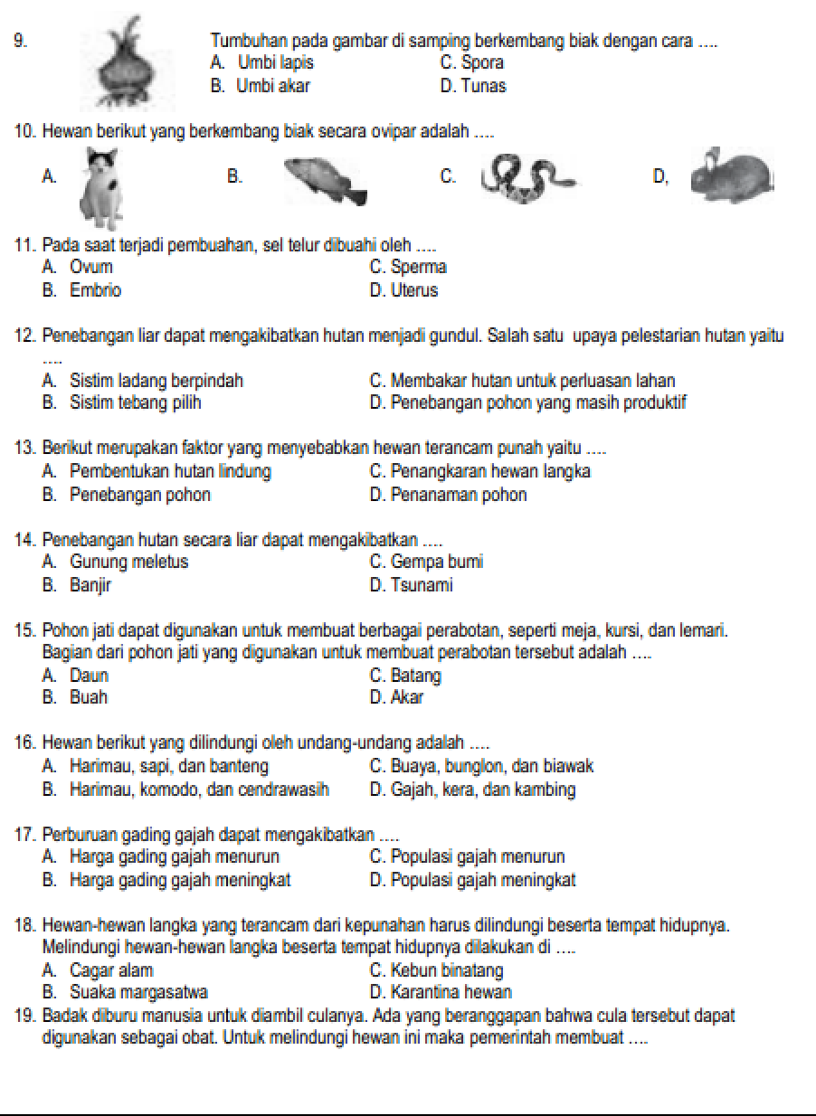 5 Fakta Mengejutkan Soal IPA Tema 1 Kelas 6 yang Wajib Tahu Sebelum Ujian Semester